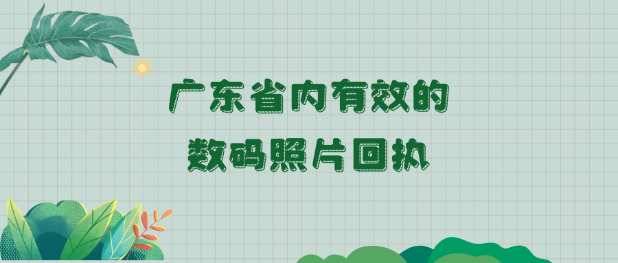 广东省内有效的数码照片回执？