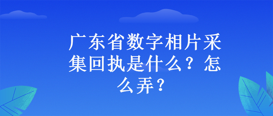 广东省数字相片采集回执？