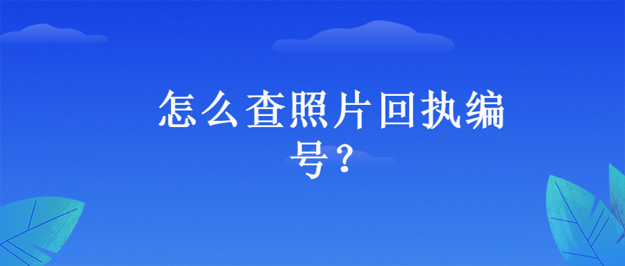 怎么查照片回执编号？