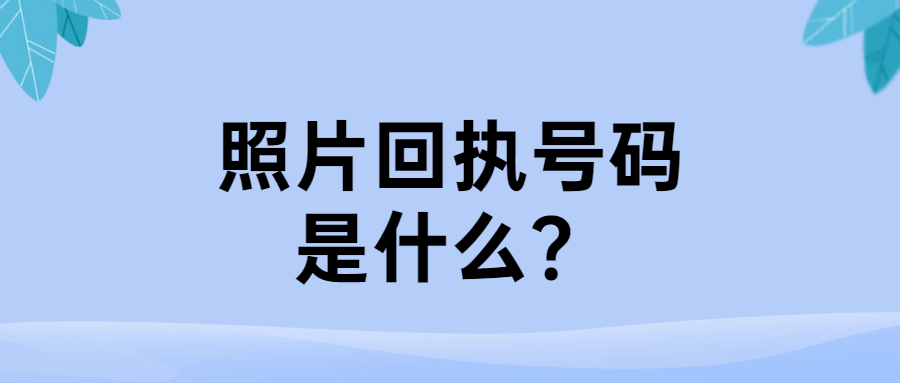 照片回执号码是什么