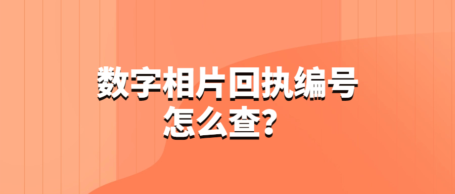 数字相片回执编号怎么查